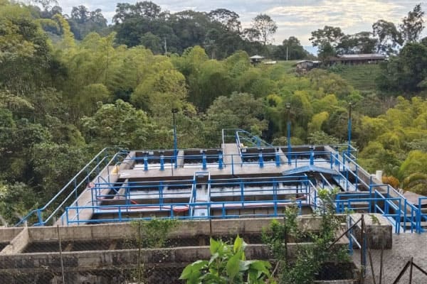 PlantaCalarca-Suministro