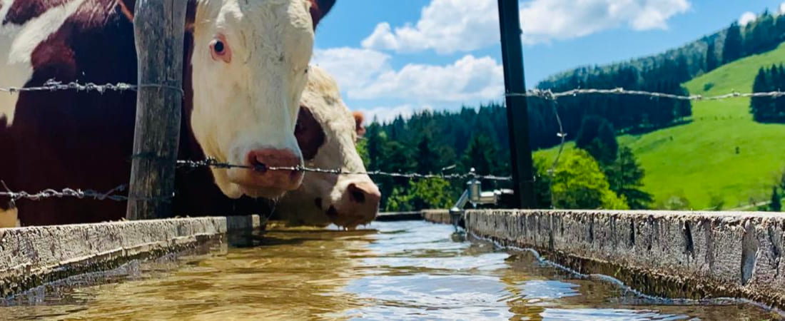 programaahorro-servicio-suministro