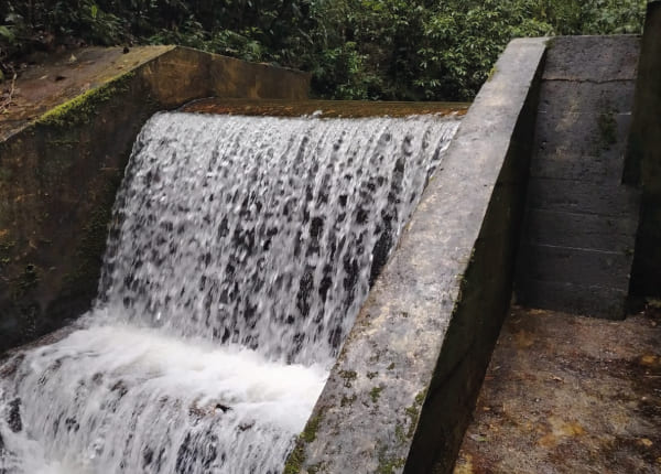 home-suministro-abasto